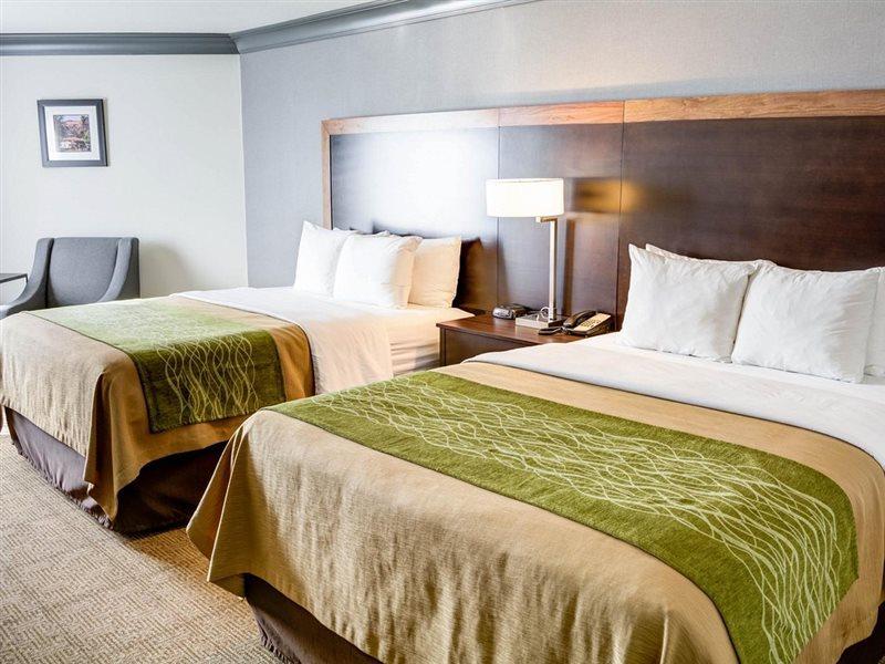 Comfort Inn & Suites Near Universal - N Hollywood - Burbank Los Angeles Ngoại thất bức ảnh